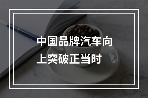中国品牌汽车向上突破正当时