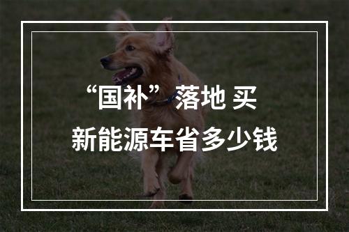 “国补”落地 买新能源车省多少钱