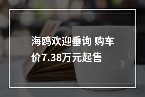 海鸥欢迎垂询 购车价7.38万元起售