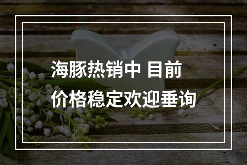 海豚热销中 目前价格稳定欢迎垂询