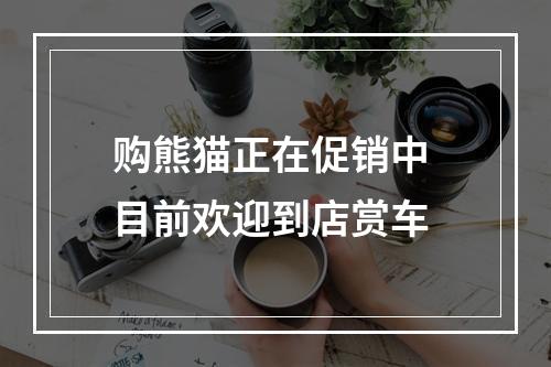 购熊猫正在促销中 目前欢迎到店赏车