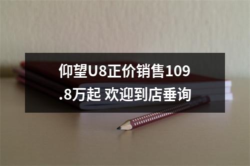 仰望U8正价销售109.8万起 欢迎到店垂询