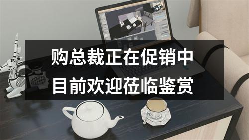 购总裁正在促销中 目前欢迎莅临鉴赏