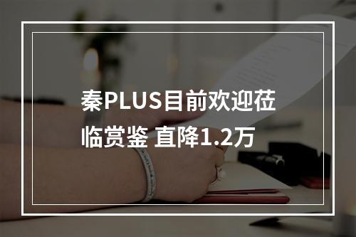秦PLUS目前欢迎莅临赏鉴 直降1.2万