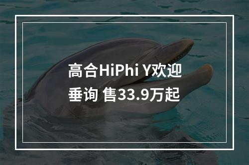 高合HiPhi Y欢迎垂询 售33.9万起