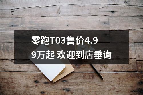 零跑T03售价4.99万起 欢迎到店垂询