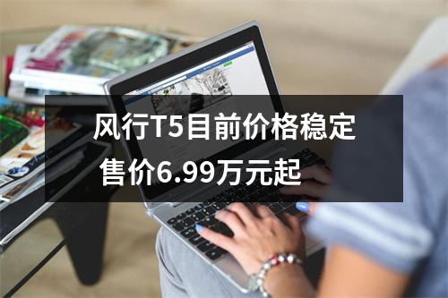 风行T5目前价格稳定 售价6.99万元起