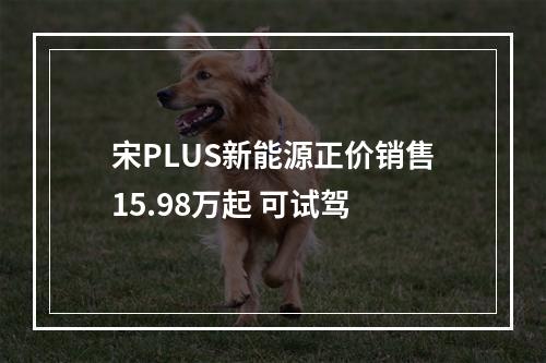 宋PLUS新能源正价销售15.98万起 可试驾
