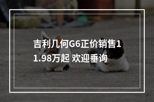 吉利几何G6正价销售11.98万起 欢迎垂询