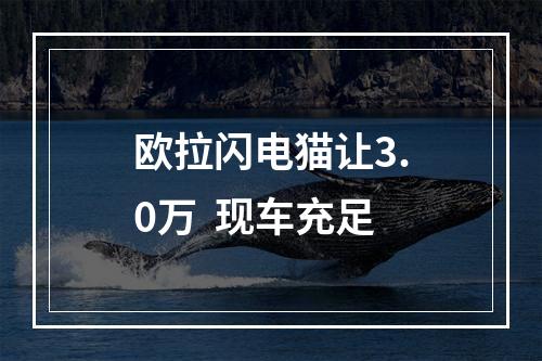欧拉闪电猫让3.0万  现车充足