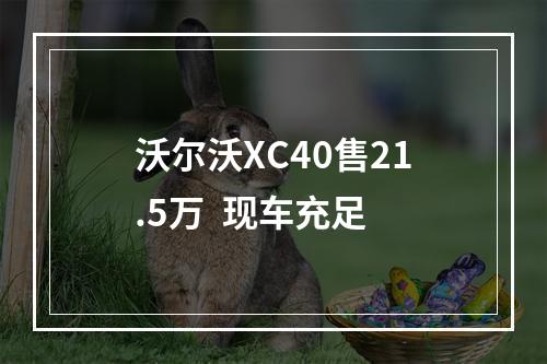 沃尔沃XC40售21.5万  现车充足