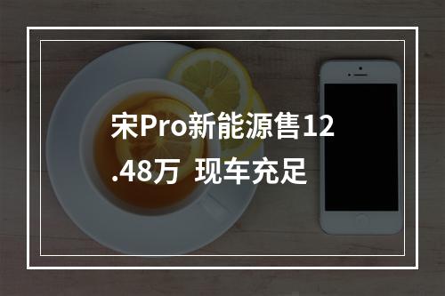 宋Pro新能源售12.48万  现车充足