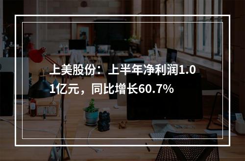 上美股份：上半年净利润1.01亿元，同比增长60.7%