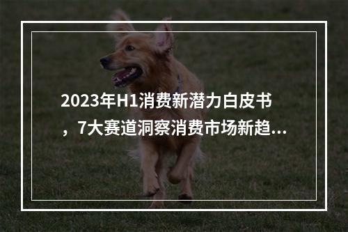2023年H1消费新潜力白皮书，7大赛道洞察消费市场新趋势