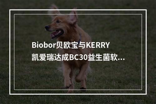 Biobor贝欧宝与KERRY凯爱瑞达成BC30益生菌软糖战略合作