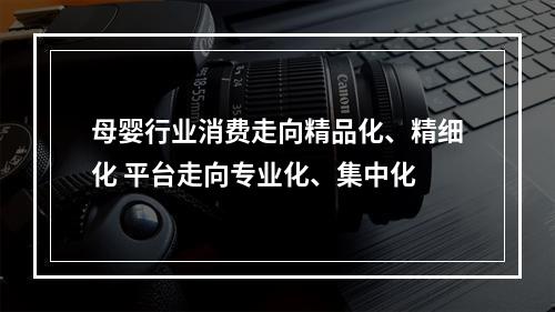 母婴行业消费走向精品化、精细化 平台走向专业化、集中化