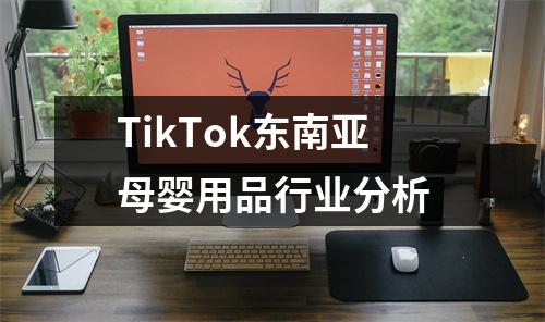 TikTok东南亚母婴用品行业分析