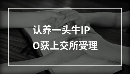 认养一头牛IPO获上交所受理