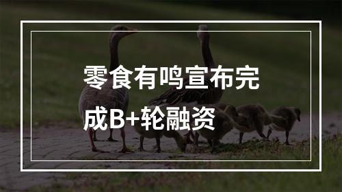 零食有鸣宣布完成B+轮融资
