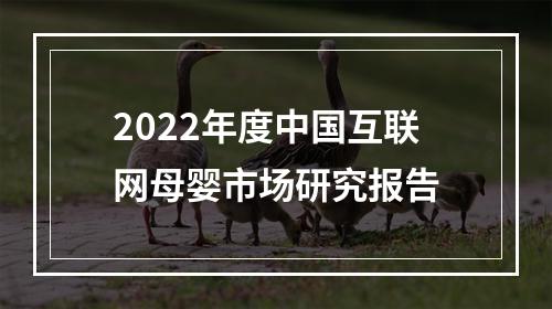 2022年度中国互联网母婴市场研究报告