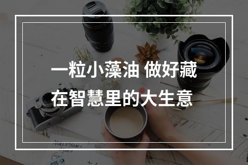 一粒小藻油 做好藏在智慧里的大生意