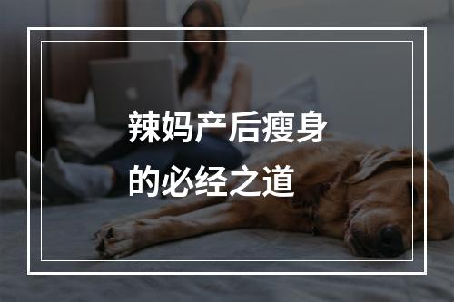 辣妈产后瘦身的必经之道