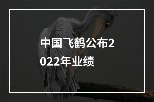 中国飞鹤公布2022年业绩