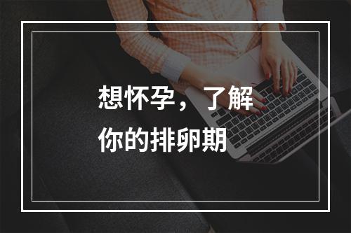 想怀孕，了解你的排卵期