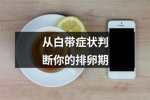 从白带症状判断你的排卵期