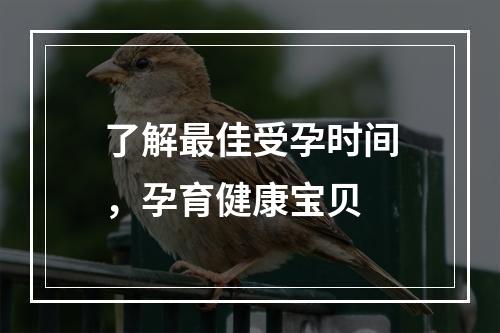 了解最佳受孕时间，孕育健康宝贝