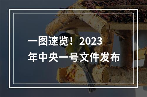 一图速览！2023年中央一号文件发布
