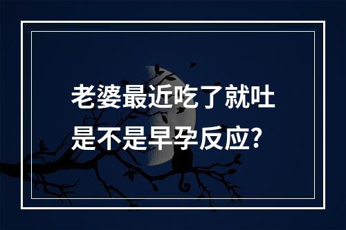 老婆最近吃了就吐是不是早孕反应?