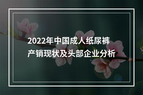 2022年中国成人纸尿裤产销现状及头部企业分析