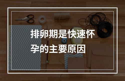 排卵期是快速怀孕的主要原因