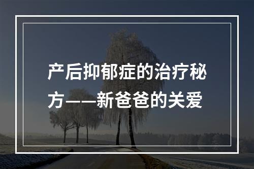产后抑郁症的治疗秘方——新爸爸的关爱