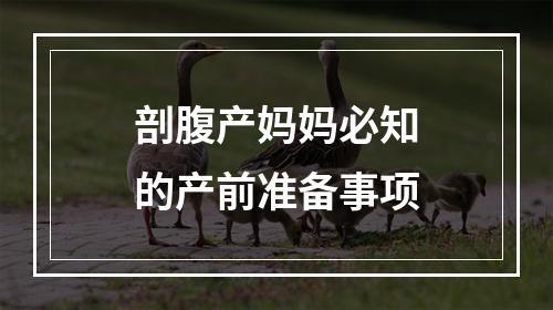 剖腹产妈妈必知的产前准备事项