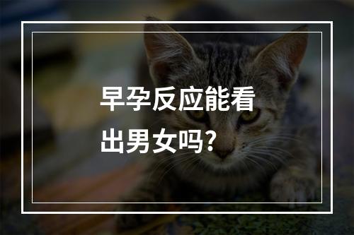 早孕反应能看出男女吗?