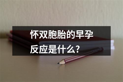 怀双胞胎的早孕反应是什么?