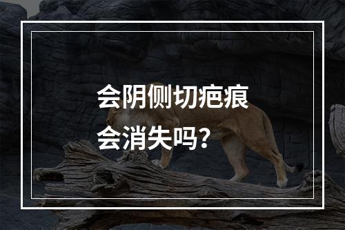 会阴侧切疤痕会消失吗？