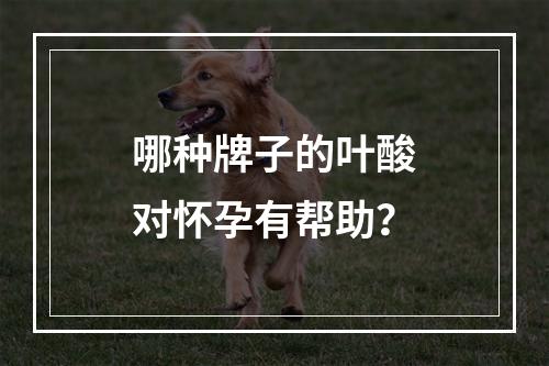 哪种牌子的叶酸对怀孕有帮助？