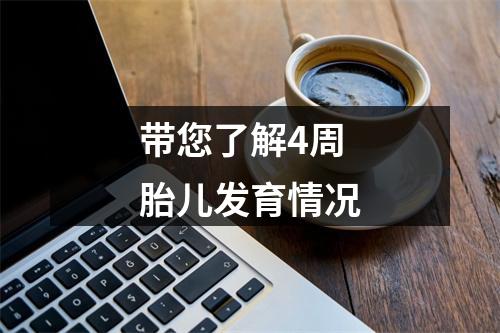 带您了解4周胎儿发育情况