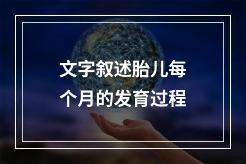 文字叙述胎儿每个月的发育过程