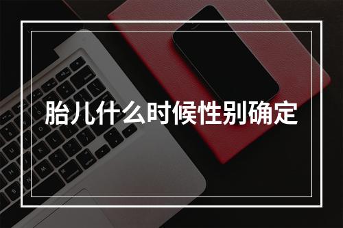 胎儿什么时候性别确定