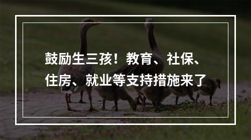 鼓励生三孩！教育、社保、住房、就业等支持措施来了