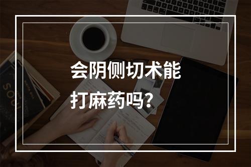会阴侧切术能打麻药吗？