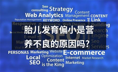 胎儿发育偏小是营养不良的原因吗?