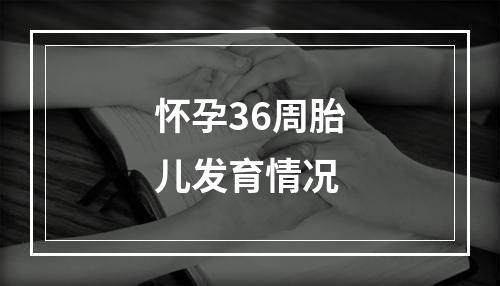 怀孕36周胎儿发育情况