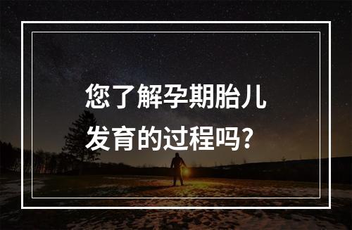 您了解孕期胎儿发育的过程吗?