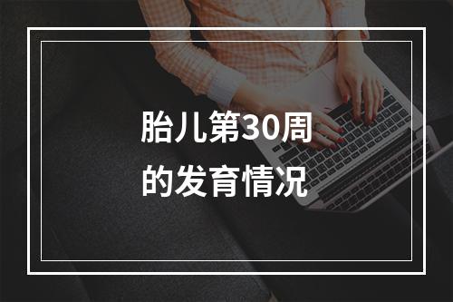胎儿第30周的发育情况