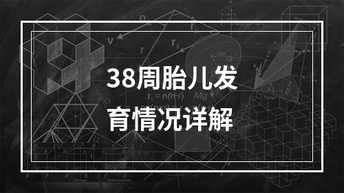 38周胎儿发育情况详解